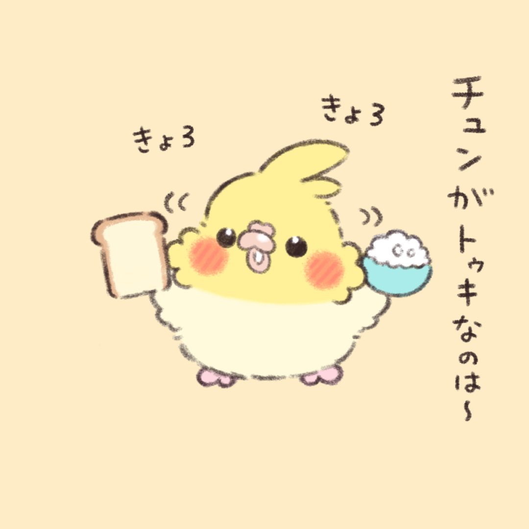 ごはん🍚orパン🍞

#オカメインコ 