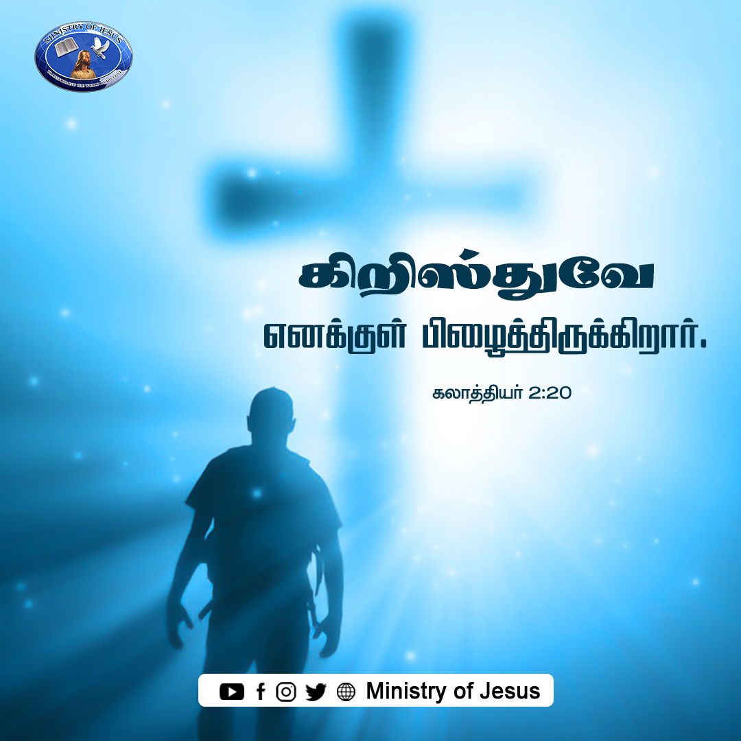 Promise of the day - 2nd March Saturday - Christ lives in me. (Galatians 2:20) #ministryofjesus #anandastira #margretstira #godsword #bibleverse #bible #wwj #jesusquotes #dailylife #encouragingwordsfromgod #motivationalquotes #tiktok #explorepage #like #success #livelifewell