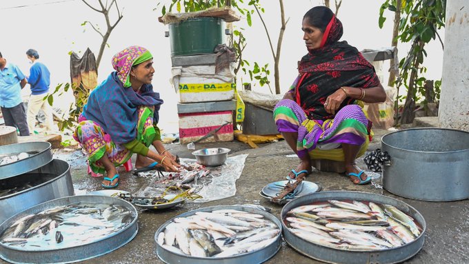 📣Women in #aquaticfoods systems play a crucial role, but the #gender narrative in the #blueeconomy is still underrepresented.  

See how they shared gender impact pathways. Via @WorldFishCenter👉tinyurl.com/WFnews2311c