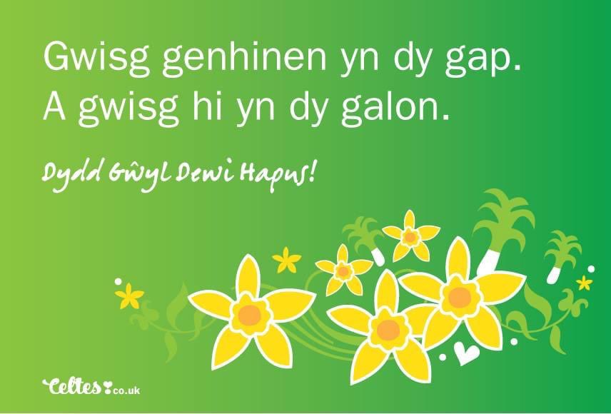 Llinos Mair tweet media