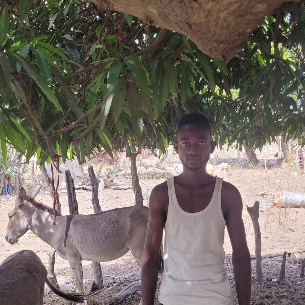 peter (@peter3150389220) on Twitter photo 