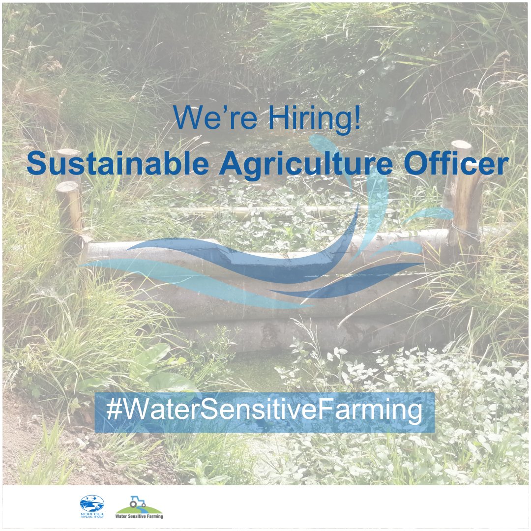 We’re looking for an individual with the ability to engage with growers, processors and retailers, facilitating knowledge-exchange and promoting a shift to more regenerative farming practices throughout Norfolk.

Apply by 18 Mar 24👇
tinyurl.com/4f93smwu

#Courtauld2030 #WRAP