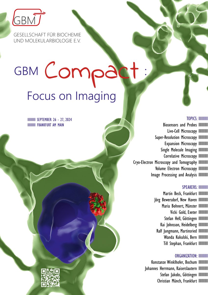 GBM e.V. (@gbm_ev) on Twitter photo 📢Registration ist open!
➡️#GBMCompact: Focus on #Imaging 🔬
📆from Sept 26-27 in Frankfurt/Main 🏙️
Join us for an amazing conference! Short talks will be selected from the abstracts!
More information at gbm-compact.org
<a href="/Herrmann_lab/">Johannes Herrmann</a> #Microscopy #Imaging 📢Registration ist open!
➡️#GBMCompact: Focus on #Imaging 🔬
📆from Sept 26-27 in Frankfurt/Main 🏙️
Join us for an amazing conference! Short talks will be selected from the abstracts!
More information at gbm-compact.org
<a href="/Herrmann_lab/">Johannes Herrmann</a> #Microscopy #Imaging