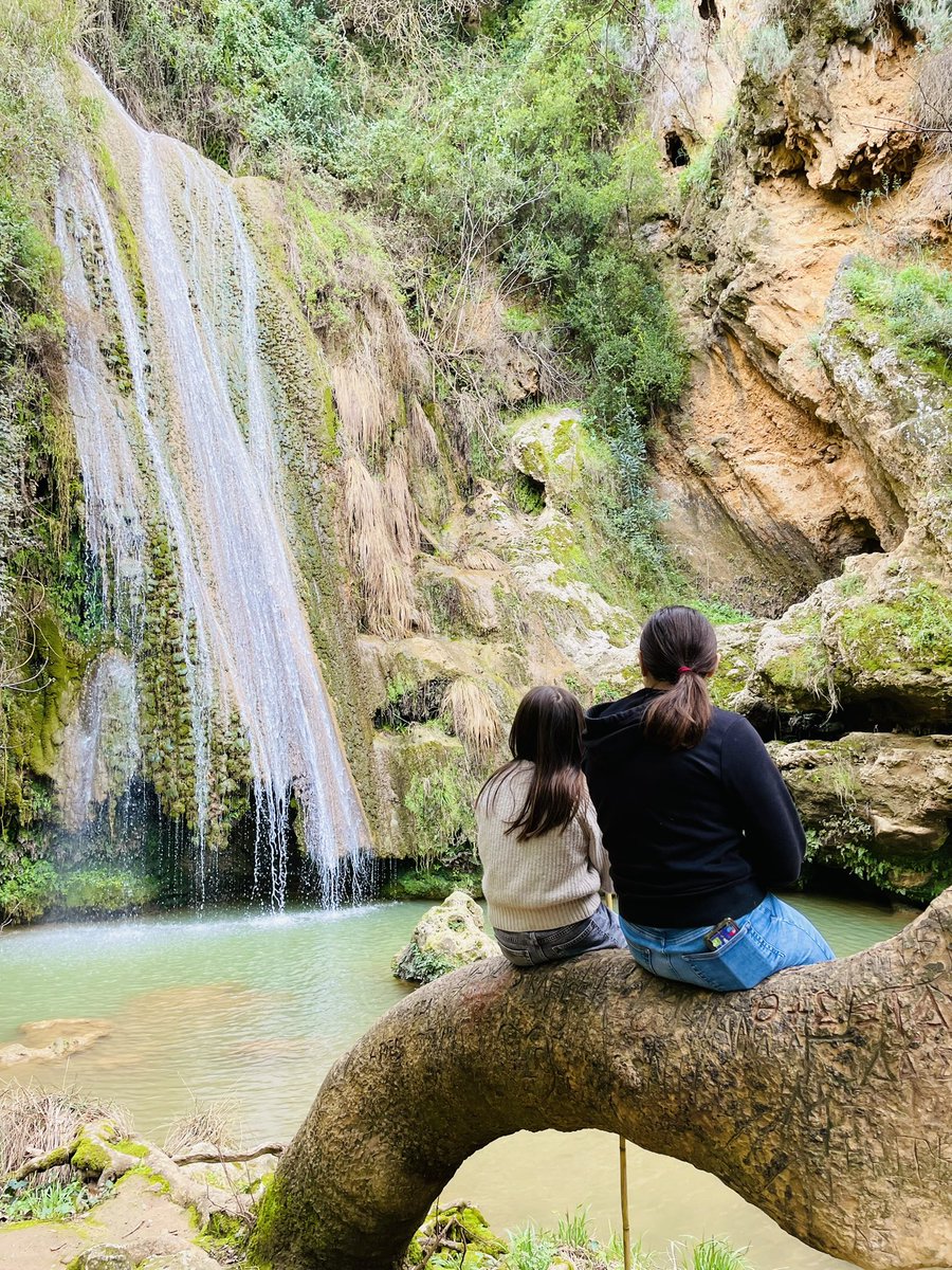 If I was a yeast, I’d live on this oak tree by the waterfall #yeast #evolution #ecology 💦 🌳