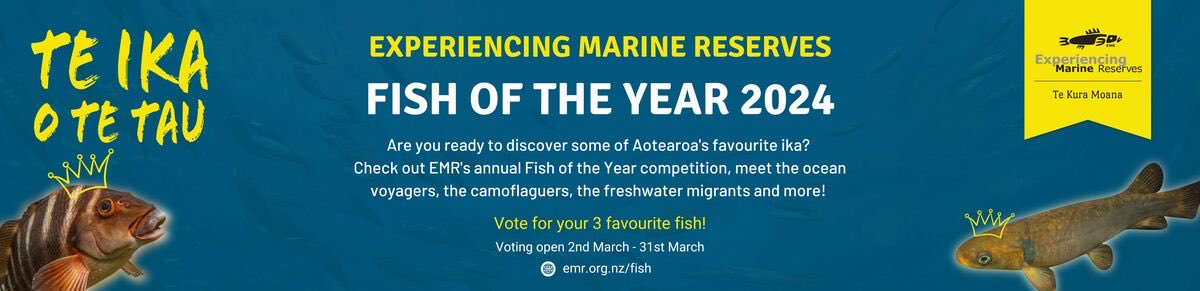 Starts tomorrow.  NZ Fish of the Year. Stand by for utterly biased campaigning for a common, clever little fish that just happens to change sex…. It deserves your vote. <a href="/HMQuertermous/">Haylee Quertermous</a> <a href="/KajKamstra/">Kaj Kamstra</a> <a href="/ChloeAvdB/">Chloe van der Burg</a> <a href="/CulumBrown/">Culum Brown 🇺🇦</a> <a href="/JasoniCL/">📎ChristineJasoni</a> 

emr.org.nz/education/even…