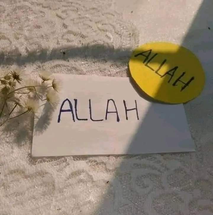 وہ خفا بھی ہو تو محبت کرنا نہیں چھوڑتا
 میرے رب کی ناراضگی بھی کتنی پیاری ہے! ♥️

Good Afternoon 🌄
Jumma Mubarak 💖