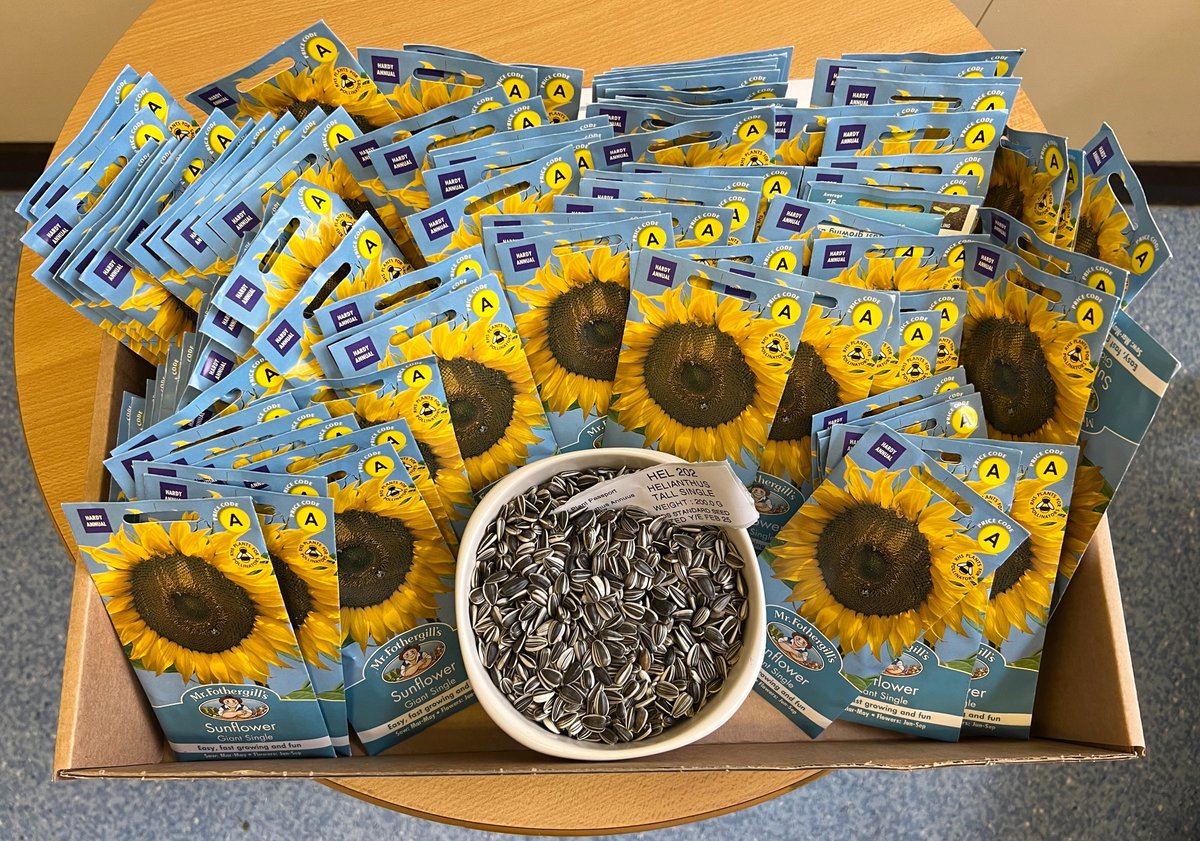 ESNEFT Chaplains π (@esneftchaplains) on Twitter photo The Day of Reflection is a time for remembering & supporting those who are grieving. It is also about hope & looking forward. Today there are seeds available as a sign of hope in the Cancer Wellbeing Centre at Colchester Hospital, and in the Ipswich Hospital Chapel <a href="/Team_ESNEFT/">Team ESNEFT</a> The Day of Reflection is a time for remembering & supporting those who are grieving. It is also about hope & looking forward. Today there are seeds available as a sign of hope in the Cancer Wellbeing Centre at Colchester Hospital, and in the Ipswich Hospital Chapel <a href="/Team_ESNEFT/">Team ESNEFT</a>