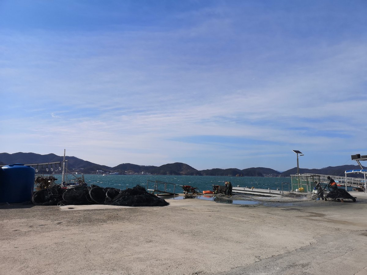 아야🌸あや tweet media