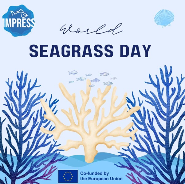 IMPRESS EU (@impress_eu) on Twitter photo 🌊 <a href="/IMPRESS_EU/">IMPRESS EU</a> celebrates the World Seagrass Day!
🐠 Let's raise awareness about the importance of preserving seagrass meadows for sustainable development and climate resilience! 🐢
#HorizonEurope #ResearchImpactEU #BlueEconomy#SustainableGrowth 🌊 <a href="/IMPRESS_EU/">IMPRESS EU</a> celebrates the World Seagrass Day!
🐠 Let's raise awareness about the importance of preserving seagrass meadows for sustainable development and climate resilience! 🐢
#HorizonEurope #ResearchImpactEU #BlueEconomy#SustainableGrowth