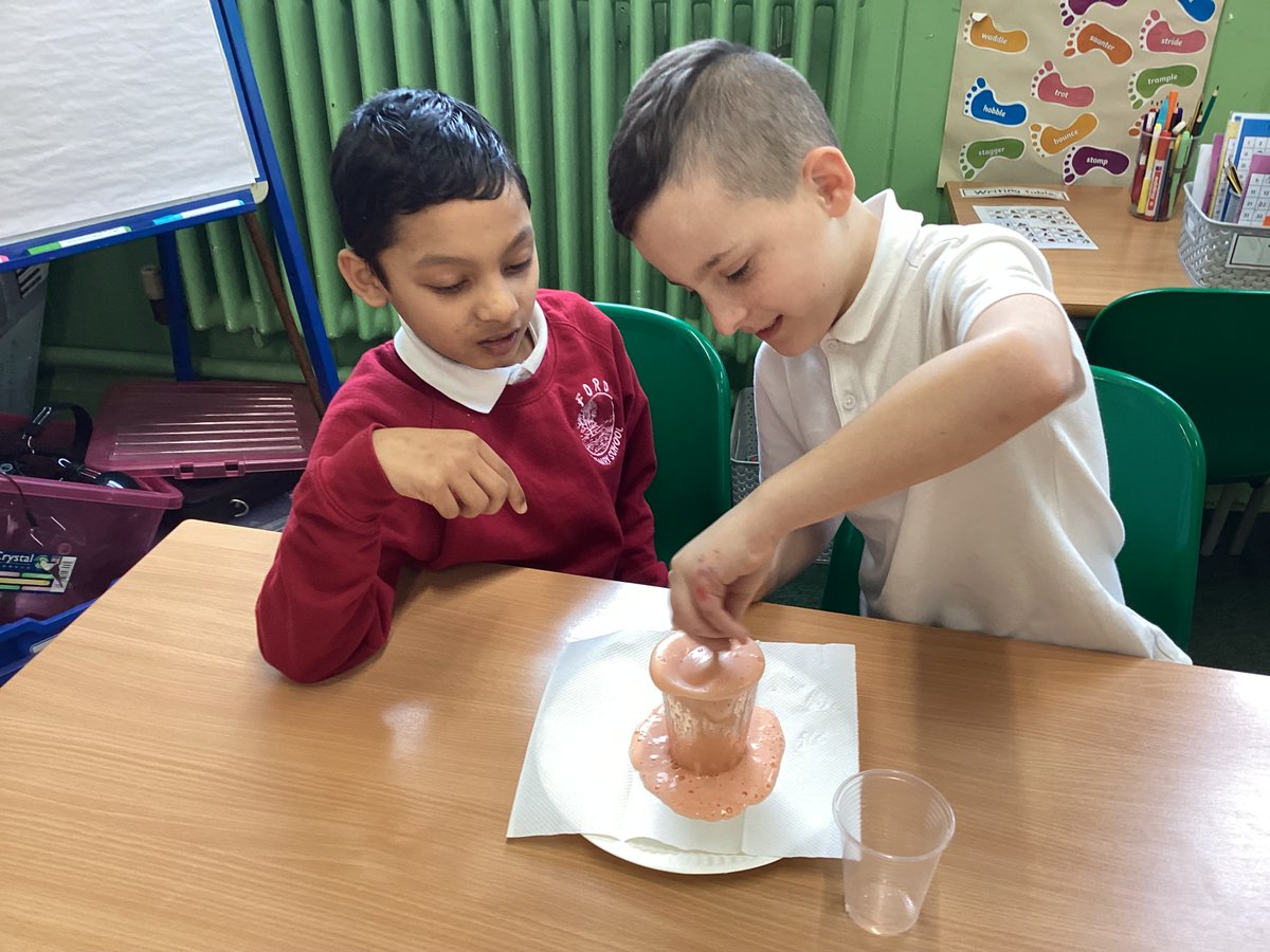 Ford Primary School tweet media