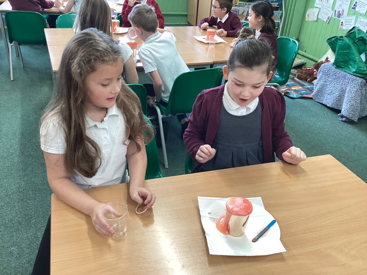 Ford Primary School tweet media