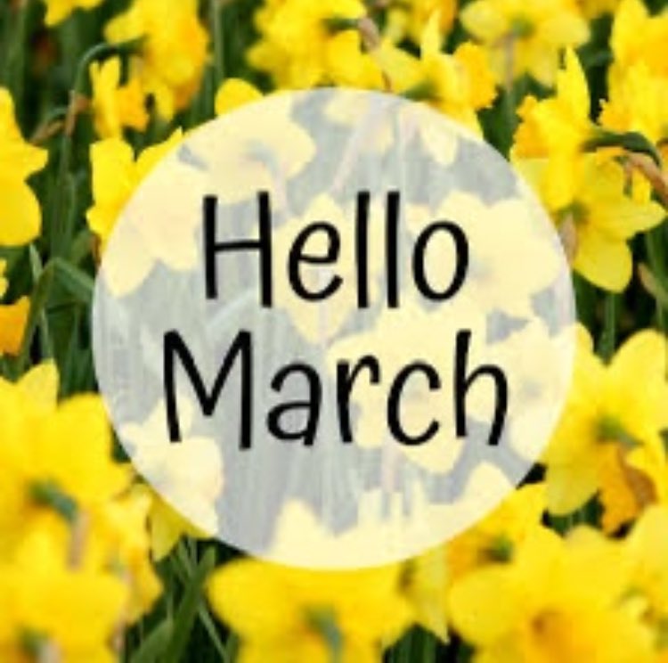 Happy 1st of March 🌼 A busy month ahead but lots of exciting things happening . . . Spring is on the way 💐 #TreatYourFeet #KeepItLocal #Crowborough #TunbridgeWells