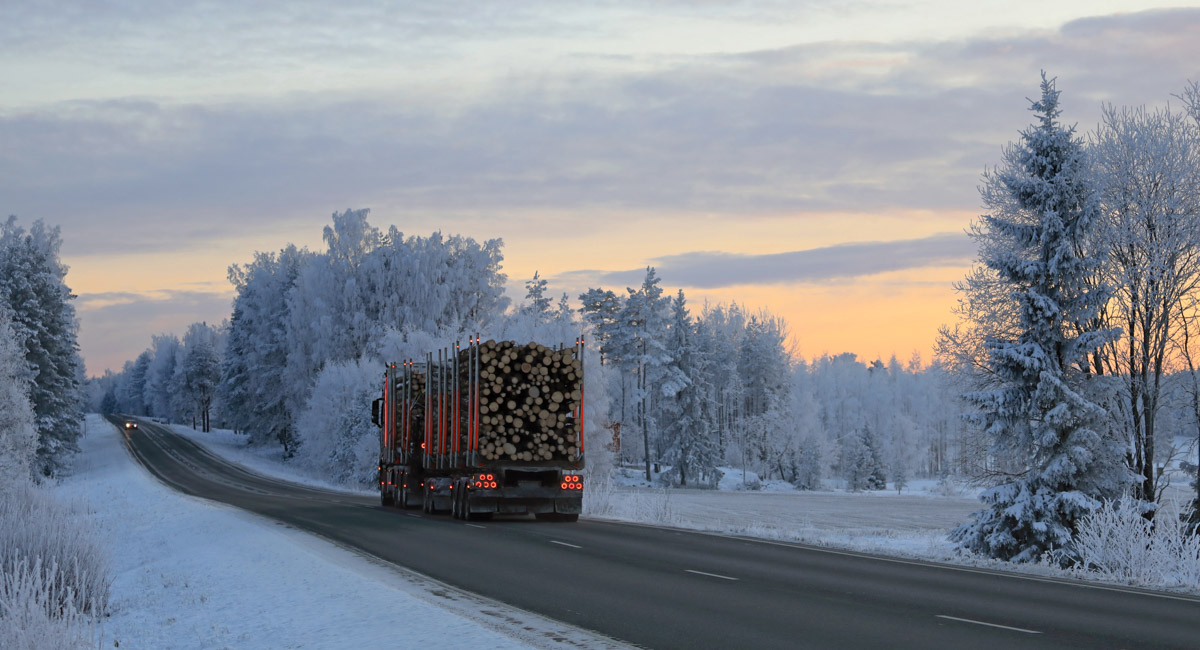 Metsäteollisuus ry on pyytänyt senior adviser Antti Vehviläistä selvitysmieheksi arvioimaan mahdollisuuksia huolehtia teollisuuden logistisesta kilpailukyvystä liikenteen rahoituksen ja verotuksen kokonaisuudistuksessa. Selvitys tarkastelee uudistusta teollisuuden