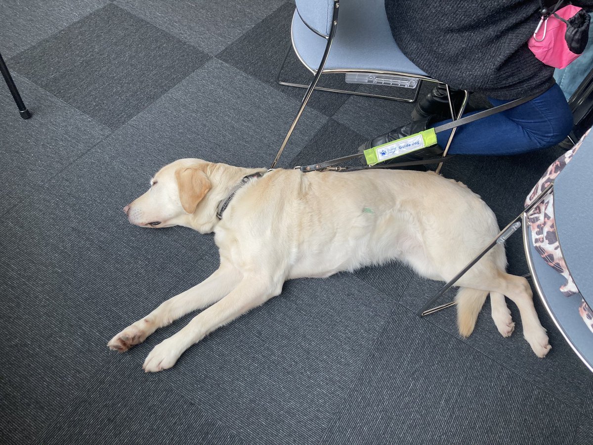 I loved spending #LeapDay2024 discussing #DisabilityAccess at the <a href="/LancasterCC/">Lancaster City Council</a> #CommunityConversation! It was a pleasure to host &amp; help facilitate this event <a href="/LancasterManage/">Lancaster University Management School</a> &amp; to meet many lovely people, especially Daisy the dog!💖
<a href="/childminderabi1/">Abi Mills</a> <a href="/JennyReddell/">Jenny Reddell</a> <a href="/NeuroDropIn/">NeuroDropIn</a>