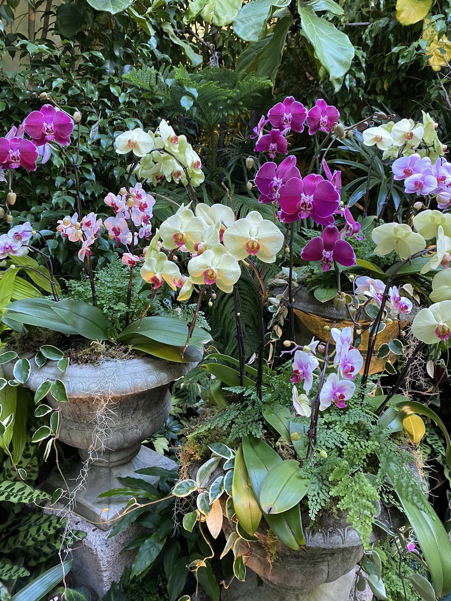 Blooming boom 😊😊