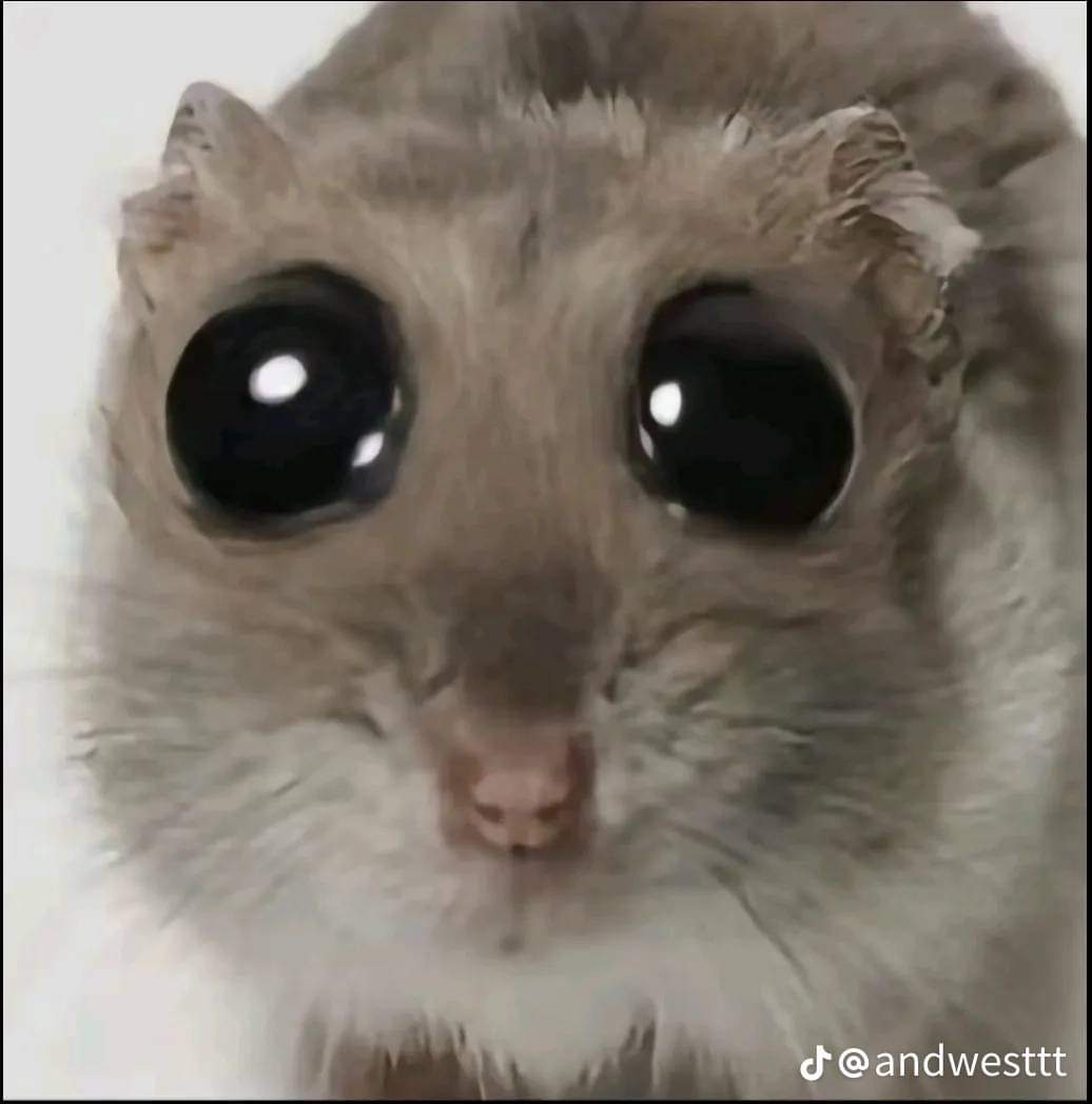 givemethisjuice's tweet photo. no nie 😭 https://t.co/oLTMSP9Cff