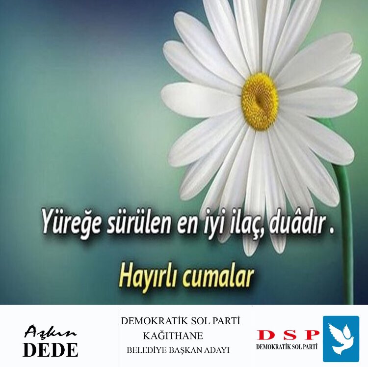 Aşkın DEDE (@askin_dede) on Twitter photo 