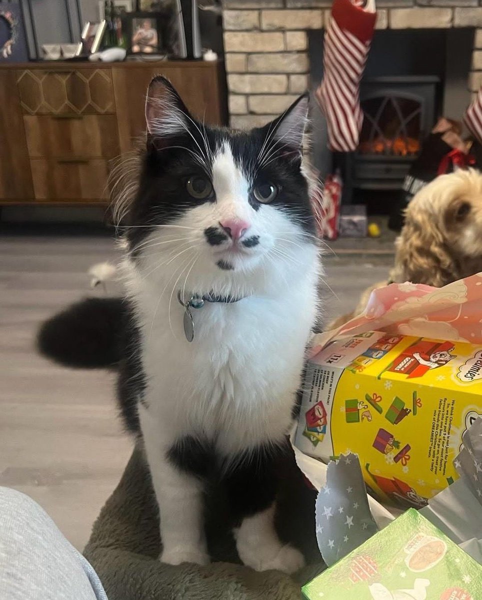 place where car shouldnt be (@carshouldnt) on Twitter photo 