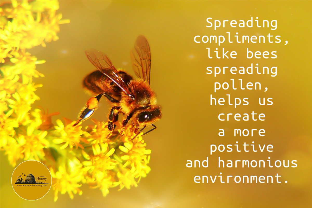 Bees & #ComplimentDay (Mar 1st) buzz with positivity! Spread kindness & appreciation, like bees spread pollen, for a happier world.

 #WorldComplimentDay #BeeThehope