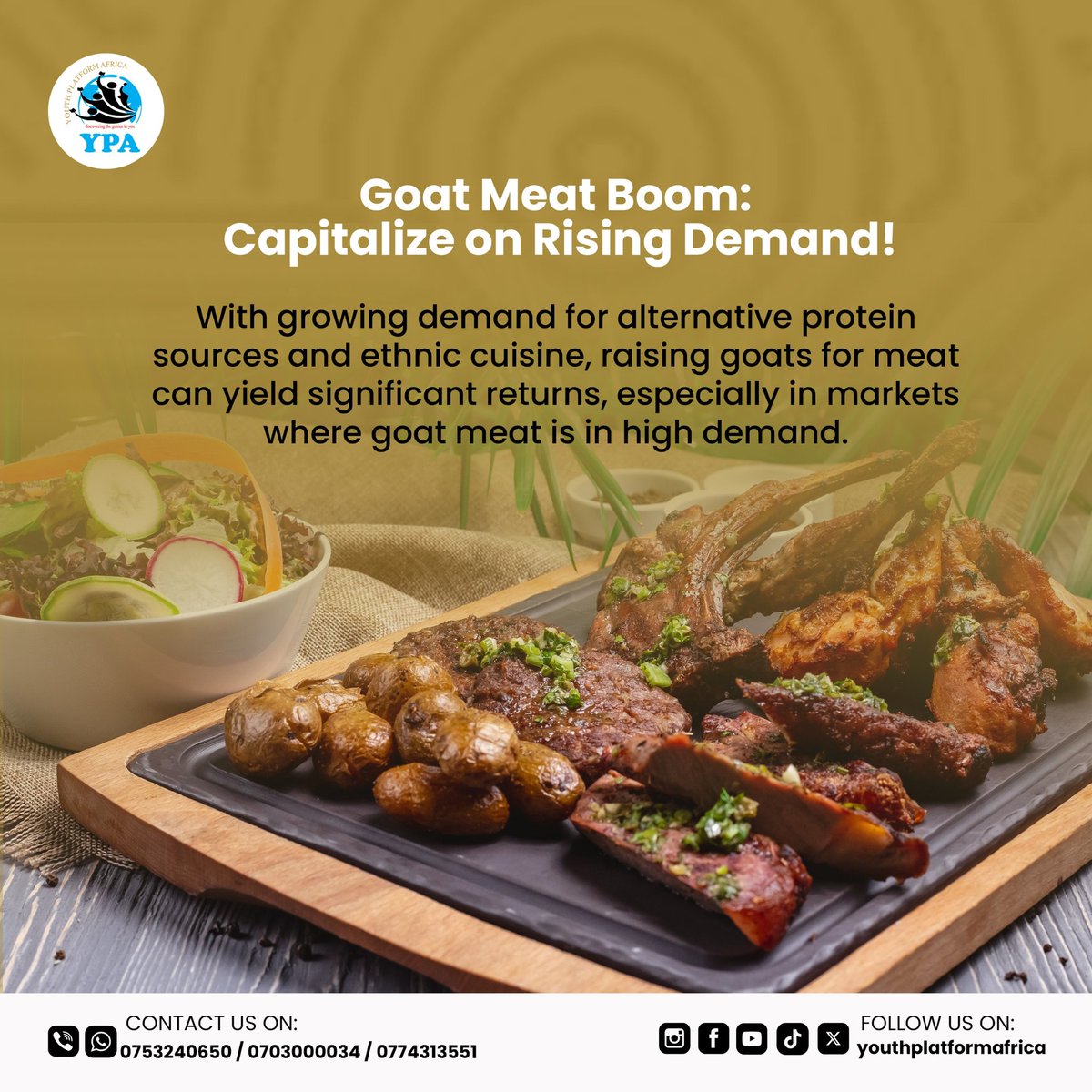 Delicious it looks I know, but have you ever wondered where it comes from? YPA Goats feed on natural grass 💯% which makes its meat the best to consume. #Eathealthyfoods #lovelife #healthytip #YPABees #YPAGoats #YPAPasture enjoy your money