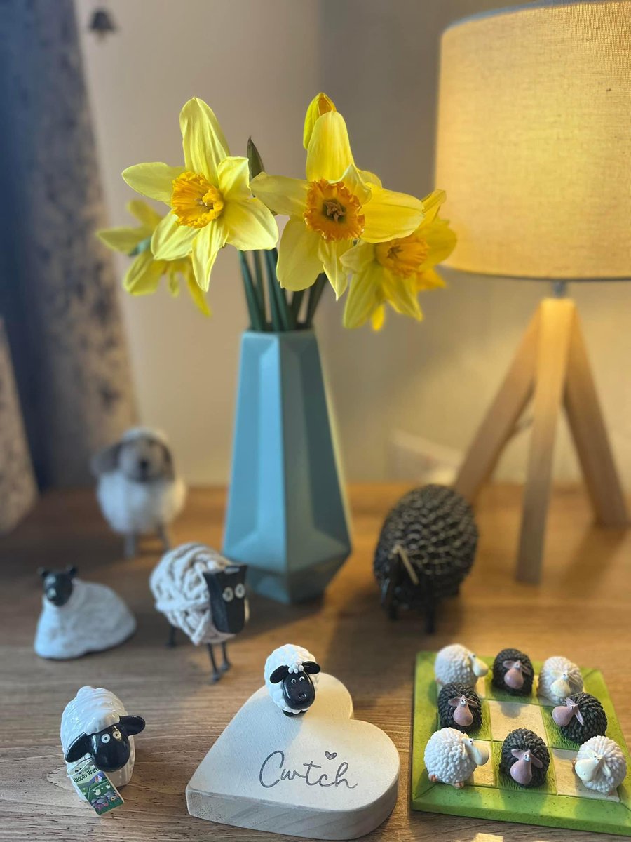 🏴󠁧󠁢󠁷󠁬󠁳󠁿 Happy St David’s Day
Dydd Gŵyl Dewi Hapus 🏴󠁧󠁢󠁷󠁬󠁳󠁿