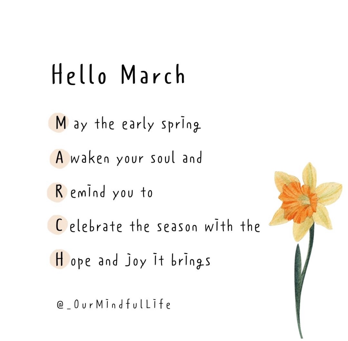 Nikki Davenport | Therapist tweet media