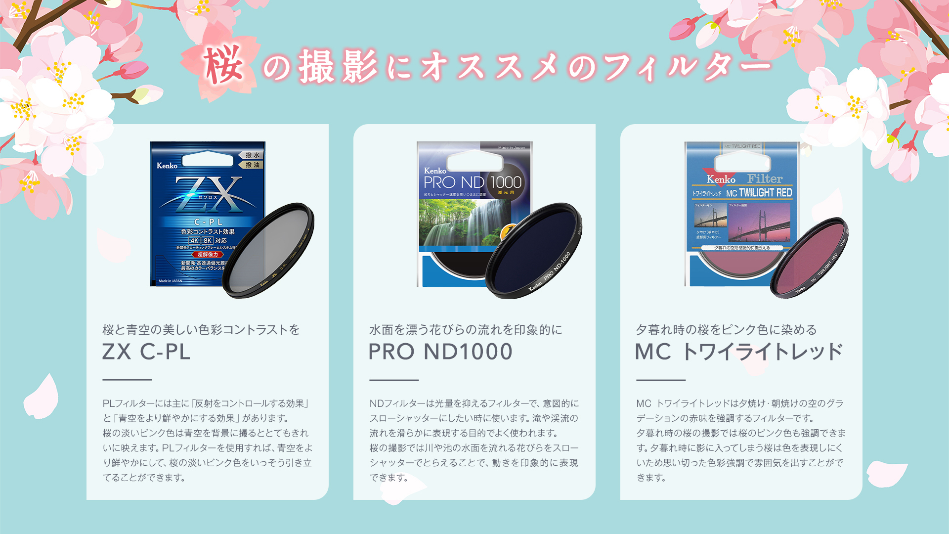 不思議な青空・アリス SP(イラスト違い) シャドウバースエボルヴ