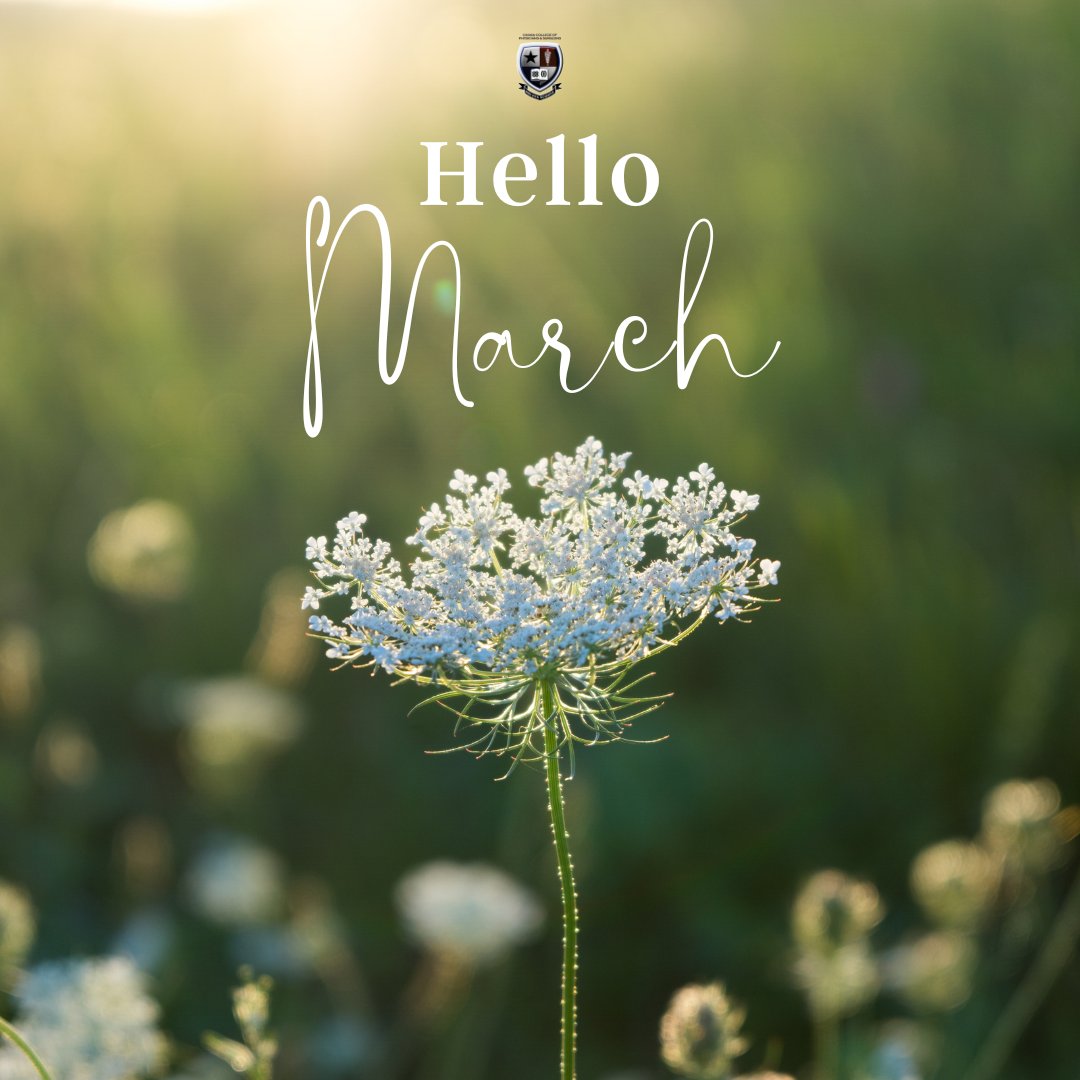 New month, new intentions, new goals, new love, new light, and new beginnings. Happy New Month