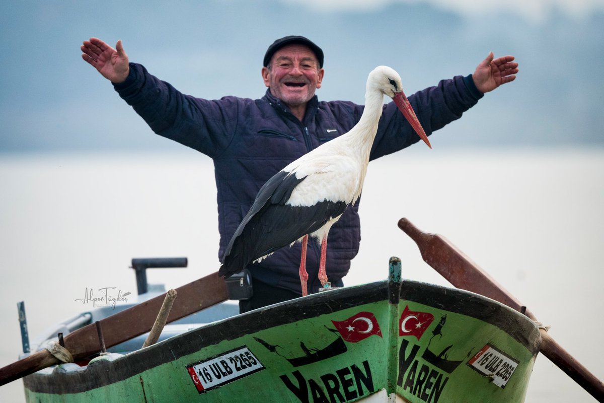 Müjdeler olsun! Geleneksel Adem ve Yaren kavuşması 13. yılında yeniden gerçekleşti. O kocaman kanatlarıyla denizleri, çölleri aştı. Diyarların üstünden, yağmurların kıyısından sıyrılıp dün köyüne, bugün ise Adem Amca'nın kayığına kondu. Cemreleri bile beklemeden baharı getirdi