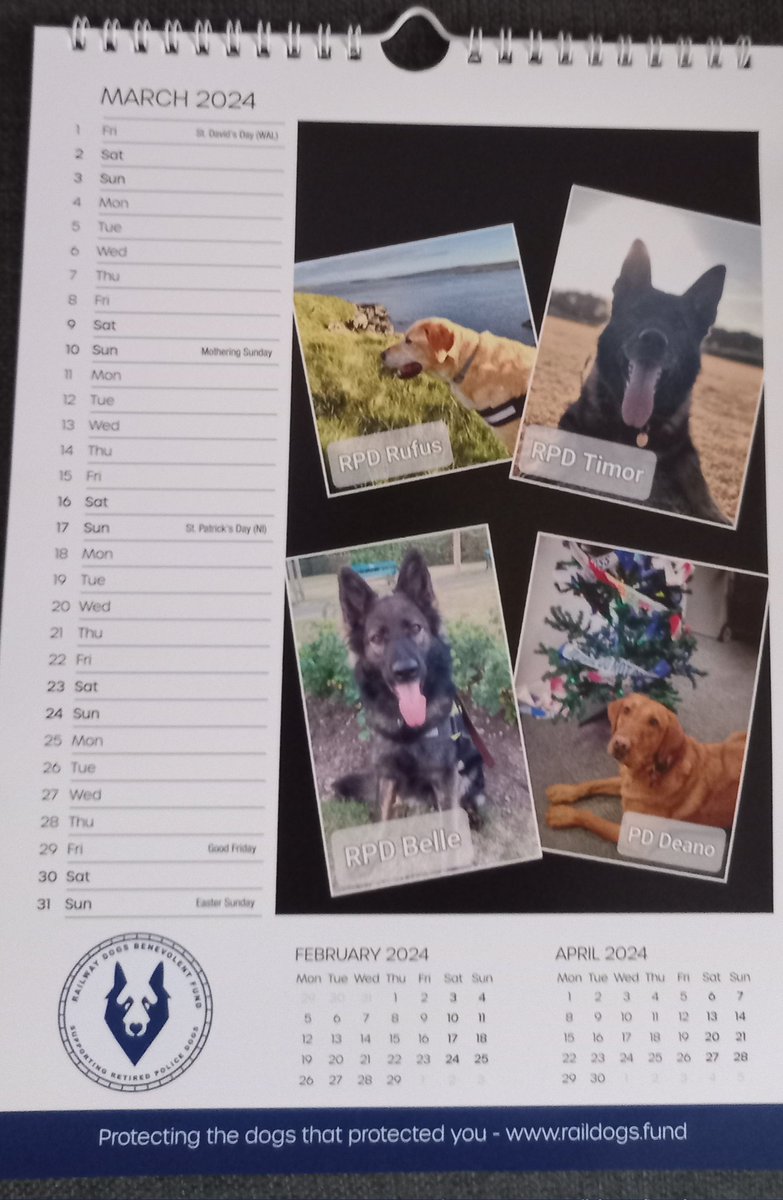 Happy 1st of Belle (March) month 👍👍👍🤩🐶 @RailDogsFund @RPDBelle 🤩🐶👍👍