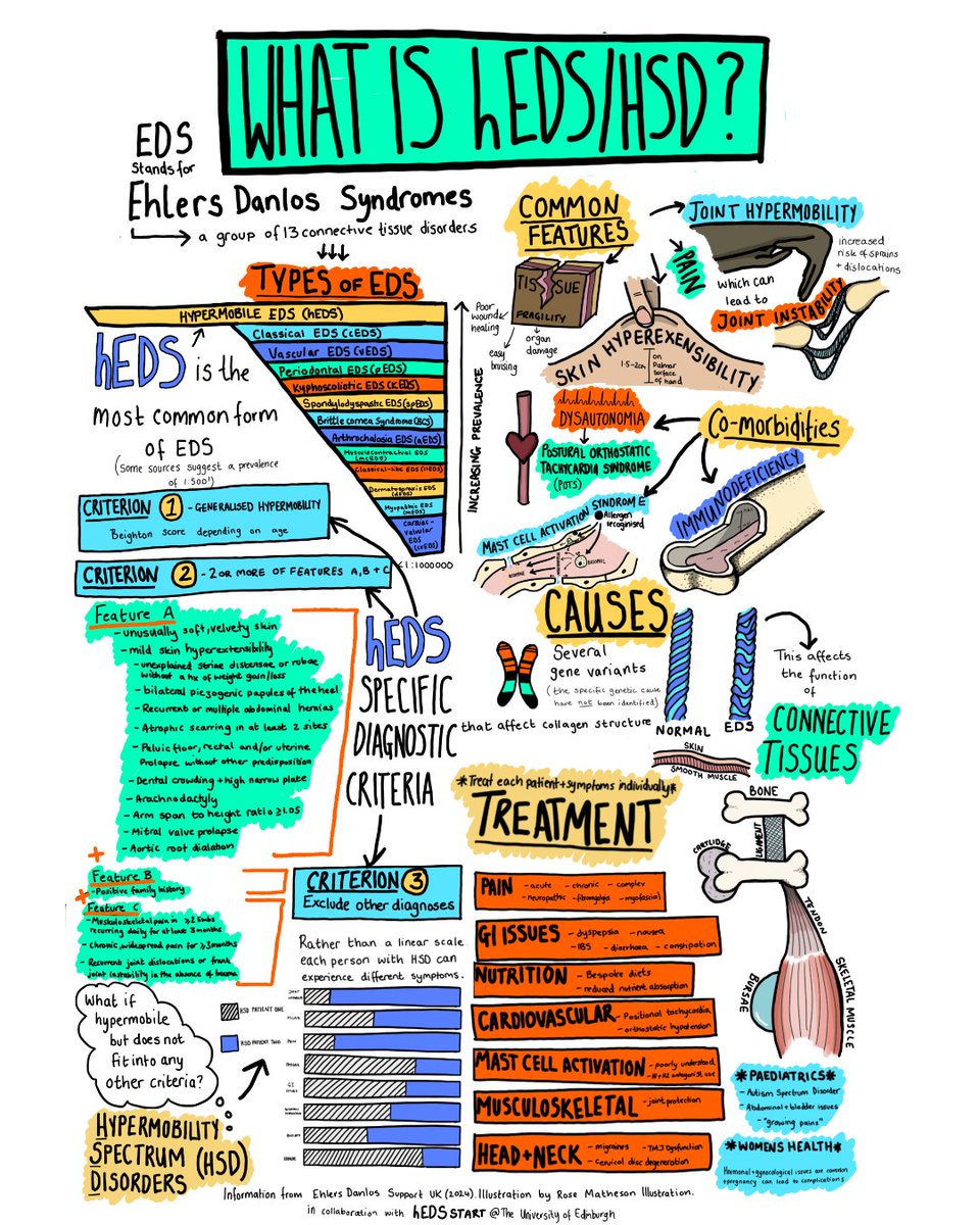 How many of you have heard of hEDS or HSD? Maybe some of you have heard of EDS or Ehlers-Danlos Syndrome? As a paramedic, I had heard of it but didn't really know much more than it being related to stretchy skin and being double-jointed. But there's waaaaay more to it than that!