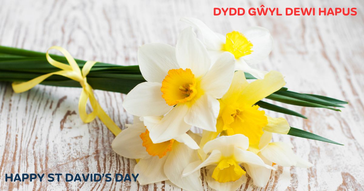 🏴󠁧󠁢󠁷󠁬󠁳󠁿 Dydd Gŵyl Dewi Hapus 🏴󠁧󠁢󠁷󠁬󠁳󠁿 🏴󠁧󠁢󠁷󠁬󠁳󠁿 Happy St David's Day 🏴󠁧󠁢󠁷󠁬󠁳󠁿