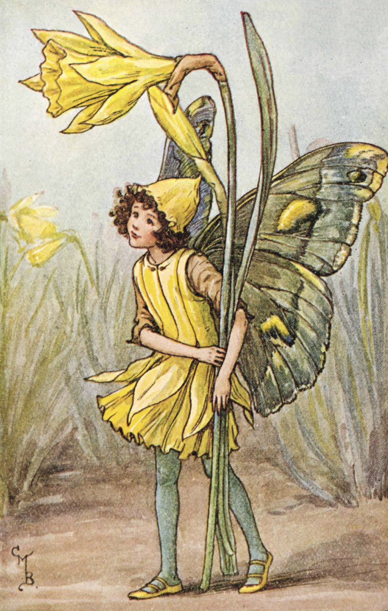 Daffodils, that come before the swallow dares, and take the winds of March with beauty..
#DaffodilFairy #FlowerFairies #CicelyMaryBarker #March1