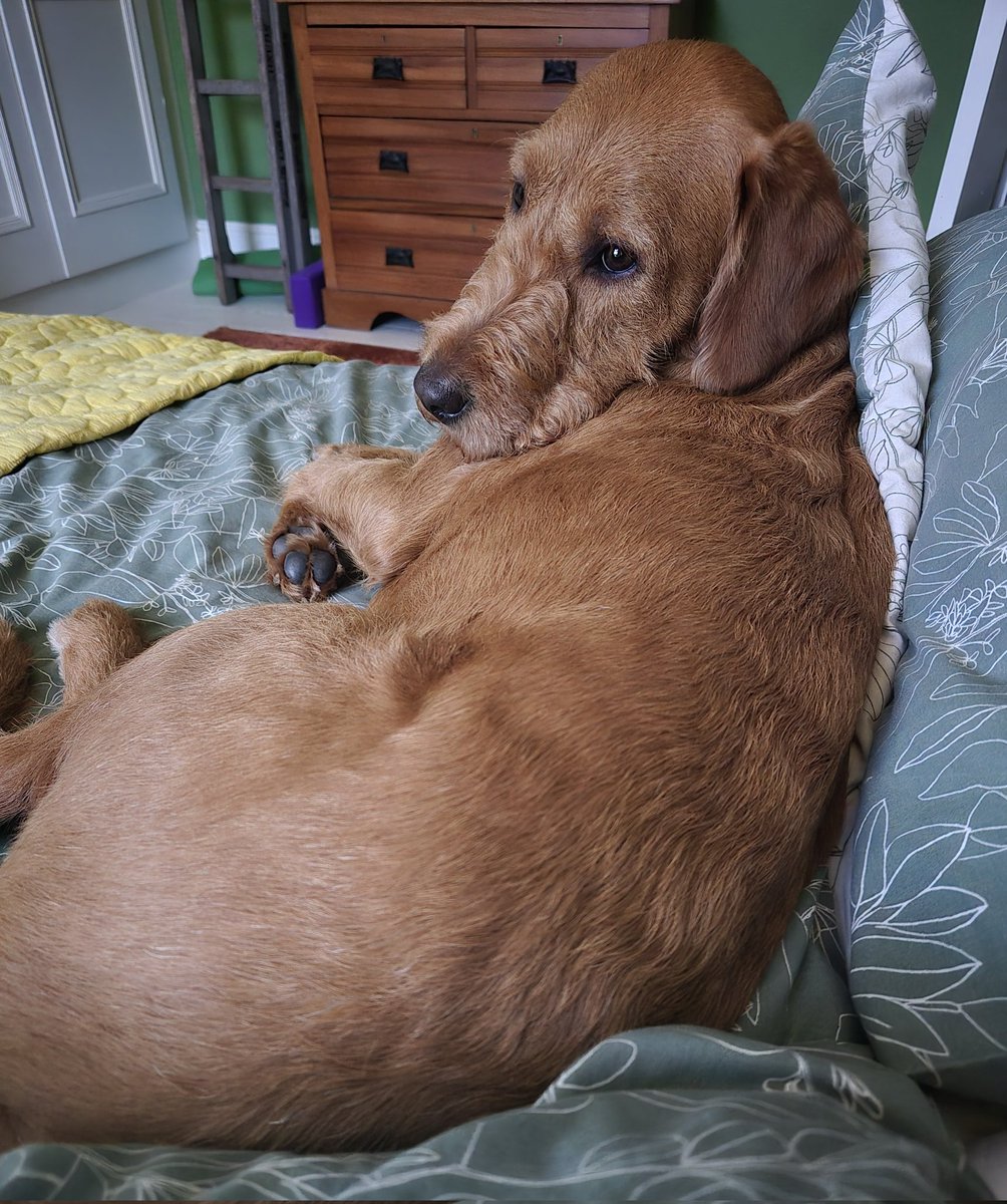 BLOCKCHAIN RECLAIM 🏆🏅 tweet media