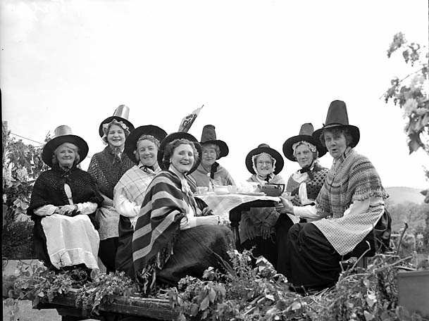 British Legion carnival in Llanrhaeadr-ym-Mochnant by Geoff Charles