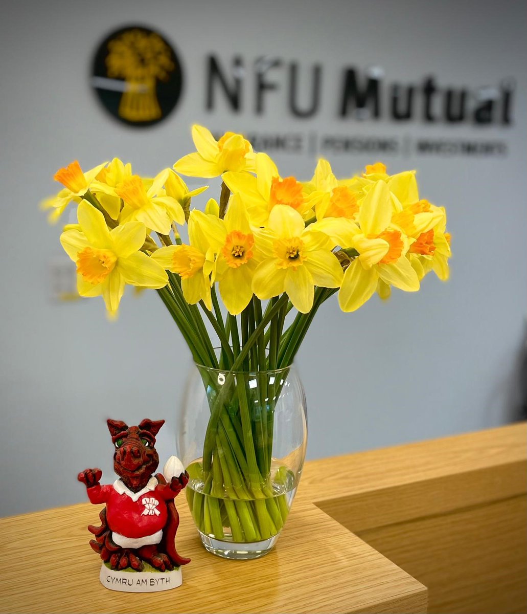 🏴󠁧󠁢󠁷󠁬󠁳󠁿 Dydd Gwyl Dewi Hapus | Happy St David's Day 🏴󠁧󠁢󠁷󠁬󠁳󠁿 May your day be as bright and beautiful as a field of daffodils!