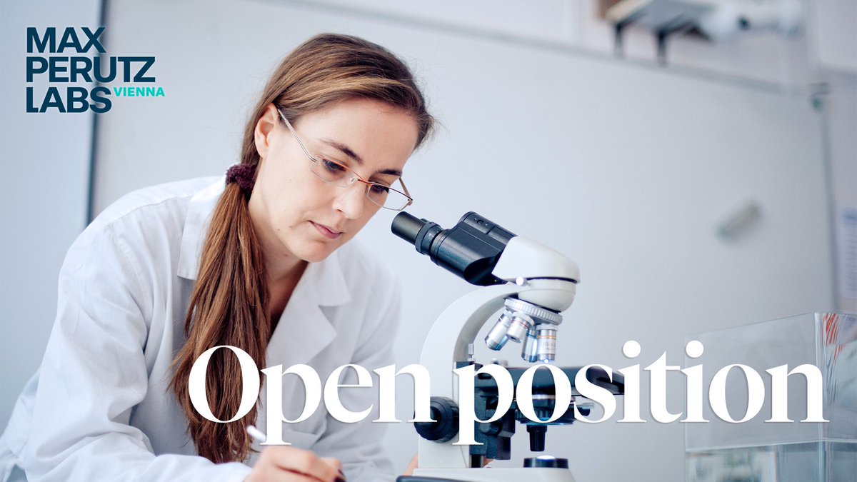 🤩 Exciting #postdoc opportunity: The Köhler lab is looking for an ambitious molecular biologist to join the team. The position offers a chance to explore the intersection of nuclear architecture, lipid metabolism, and gene regulation 🧬 Read more ➡️ tinyurl.com/hyuapu93