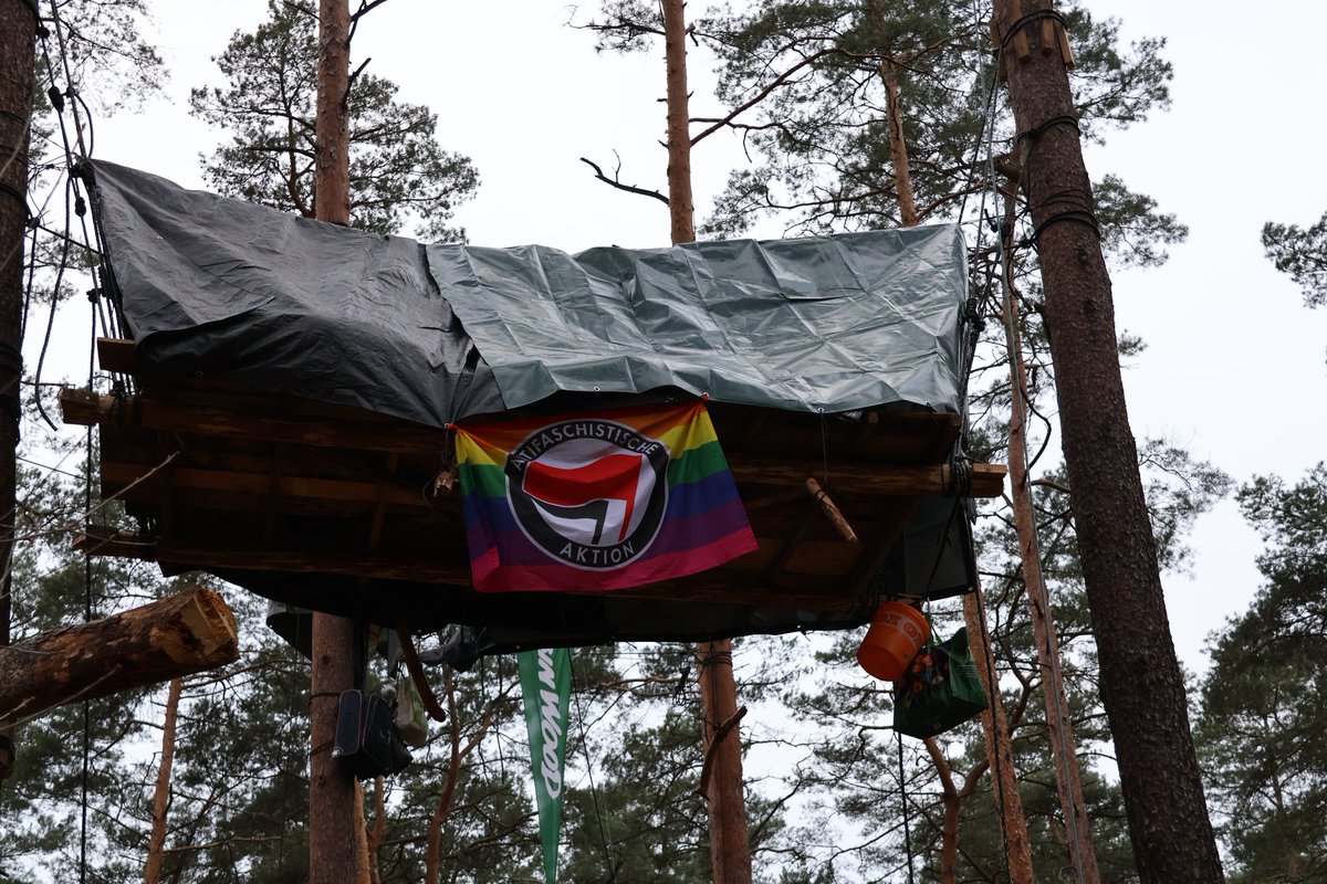 Wald statt Asphalt 🌳 #GemeinsamGegenDieRodung tweet media