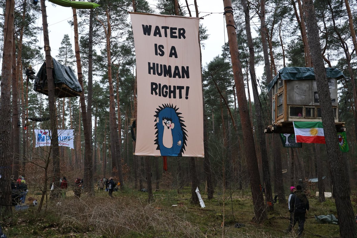 Wald statt Asphalt 🌳 #GemeinsamGegenDieRodung tweet media