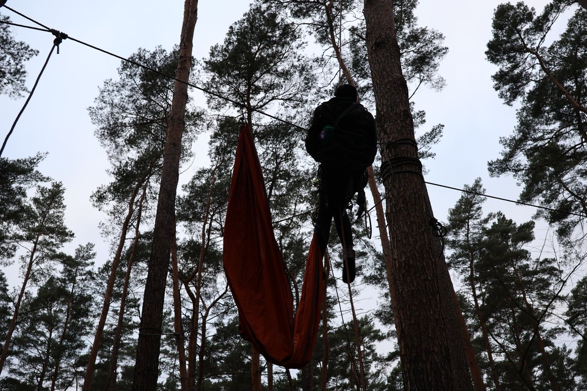 Wald statt Asphalt 🌳 #GemeinsamGegenDieRodung tweet media