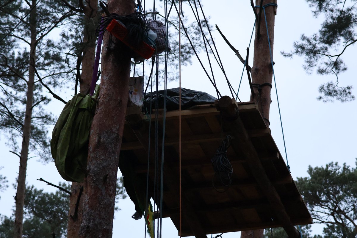 Wald statt Asphalt 🌳 #GemeinsamGegenDieRodung tweet media