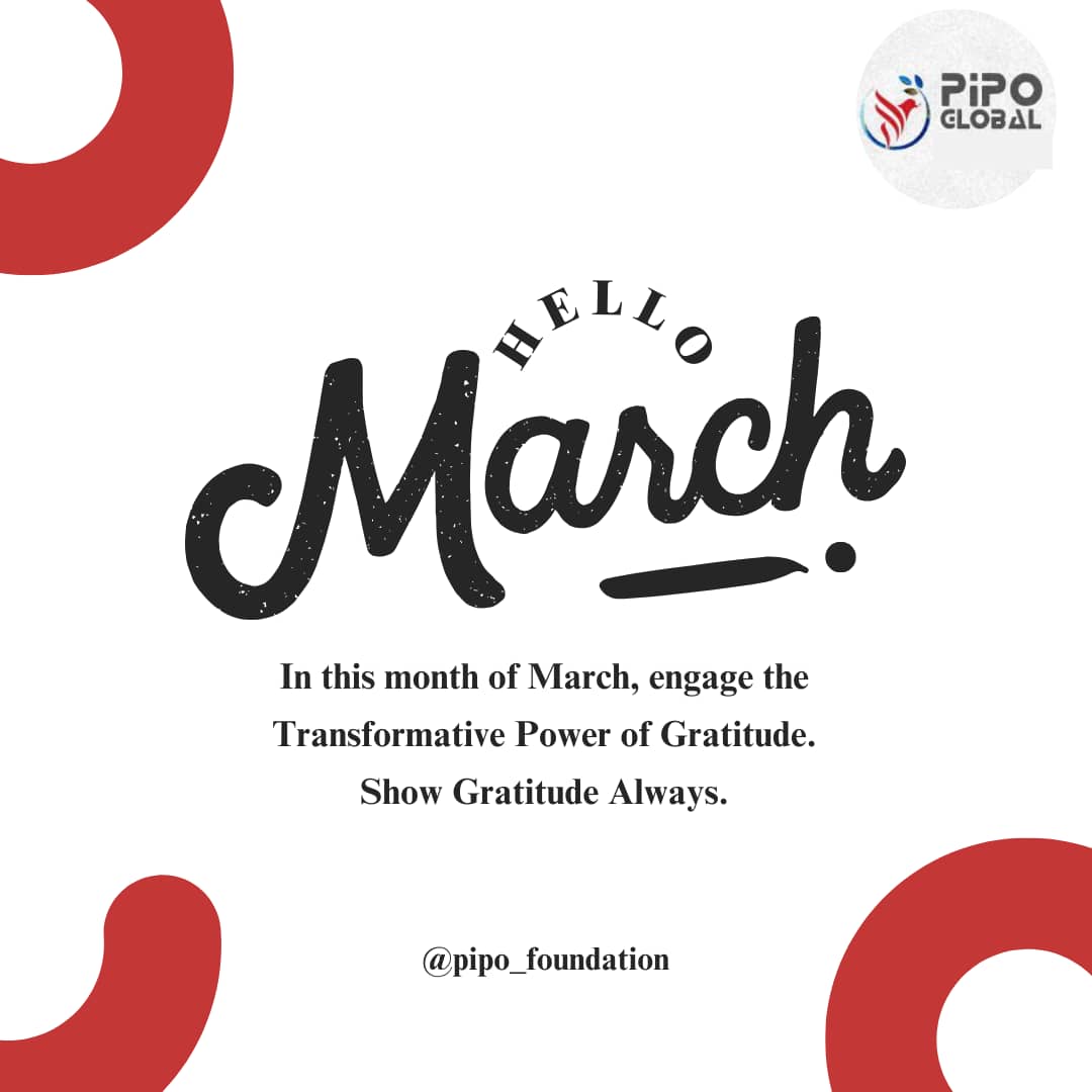 PIPO GLOBAL Foundation tweet media
