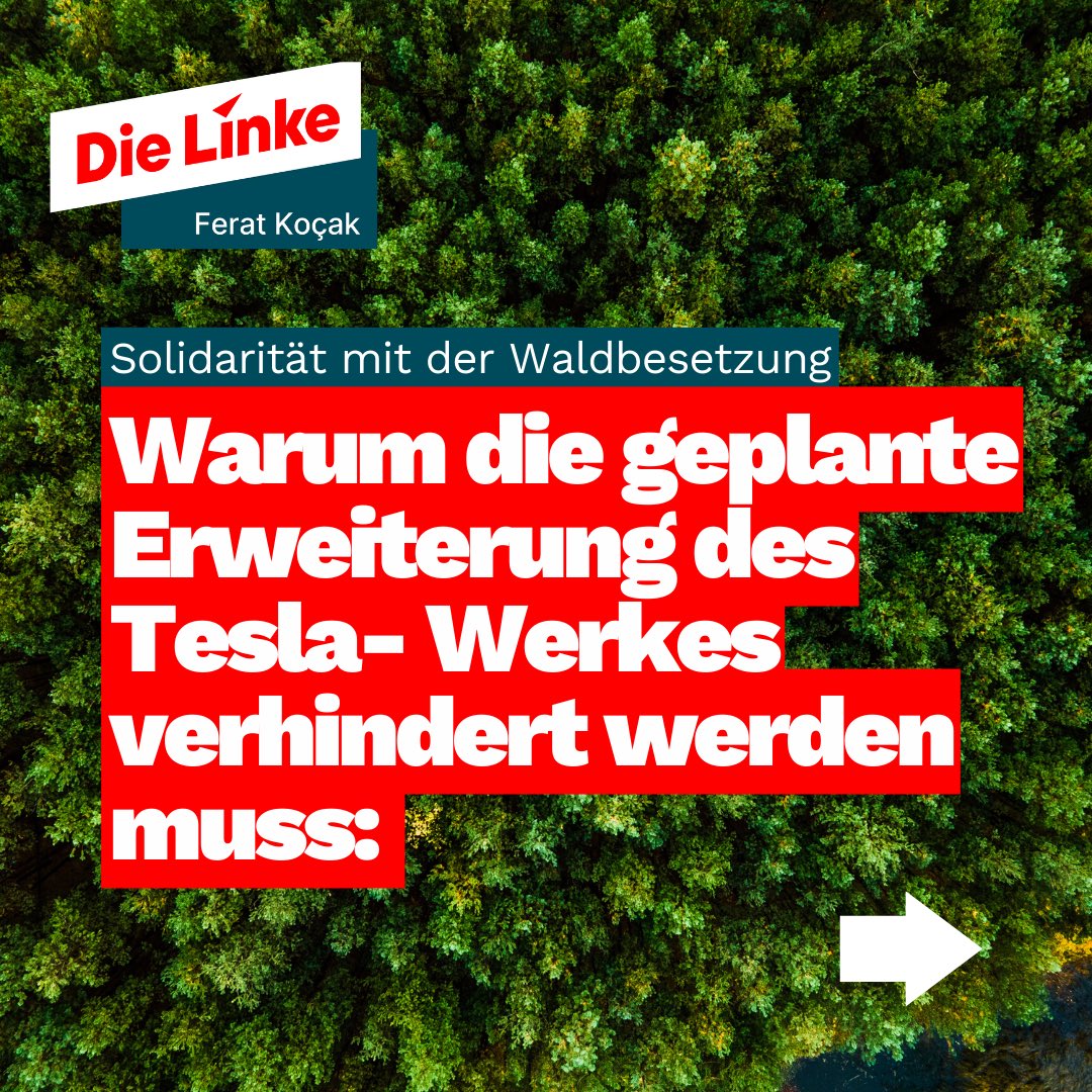 Tesla plant sein Werk in Grünheide auszubauen. Das bestehende 300 Hektar große Werksgelände soll um 170 Hektar erweitert werden. Diese Erweiterung umfasst mehr als 100 Hektar Waldfläche, die nun gerodet werden sollen. 

Dagegen formiert sich Widerstand: Klima- und