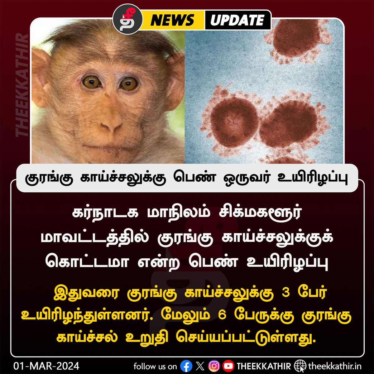 Theekkathir's tweet image. கர்நாடகாவில் குரங்கு காய்ச்சலுக்கு பெண் ஒருவர் உயிரிழப்பு

#Theekkathir | #monkeyfever | #karnataka