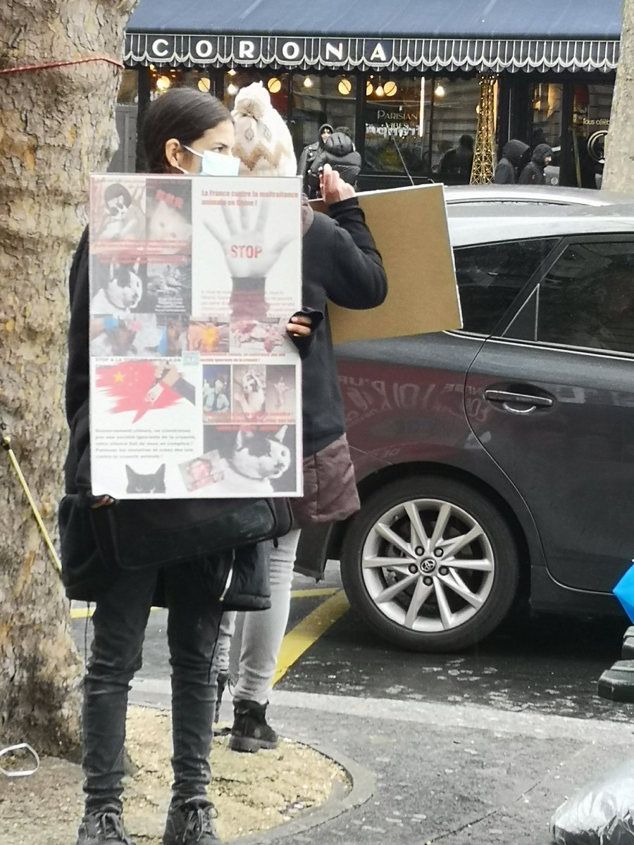 AdhikaPrapti's tweet photo. We braved the rain, the cold and the indifference of many Parisians. But we didn't give up and stayed for several hours denouncing what was happening in China. We noticed that many people were unaware of this scourge. https://t.co/S85lDs5bMK