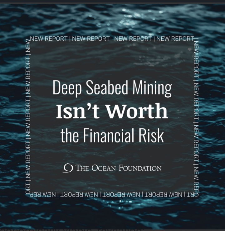 NEW REPORT: Deep Seabed Mining Isn’t Worth The Financial Risk 🔢unrealistic models ⛏️technological challenges 📉poor market prospects Emerging alternatives: 🔋Better batteries that don’t use seabed minerals ♻️circular economy #investingtips READ: bit.ly/4bPvySp