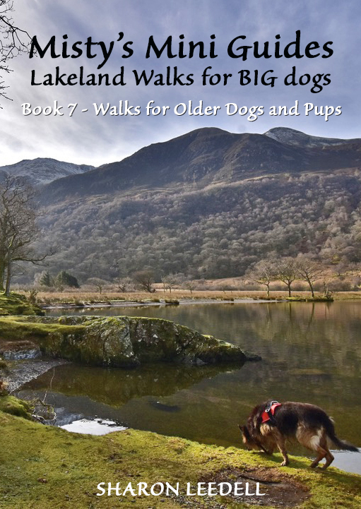 mini_guides's tweet photo. Here's the draft cover of my latest book (Book No 7!) which will be for older dogs or younger pups :) Hoping to have it finished later in the year :) #neverstopexploring #muddypaws #muddybuddies #hikingtrail #bigdogfriendly #thegreatoutdoors https://t.co/xP9MyJMRQZ