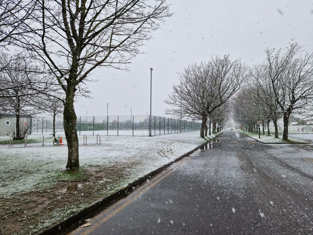 CollinstownPark's tweet photo. Spring has sprung #WeAreCPCC #Spring #FirstOfMarch #Snow #Sneachta #FirstOfMarch https://t.co/yfijxdk1UD