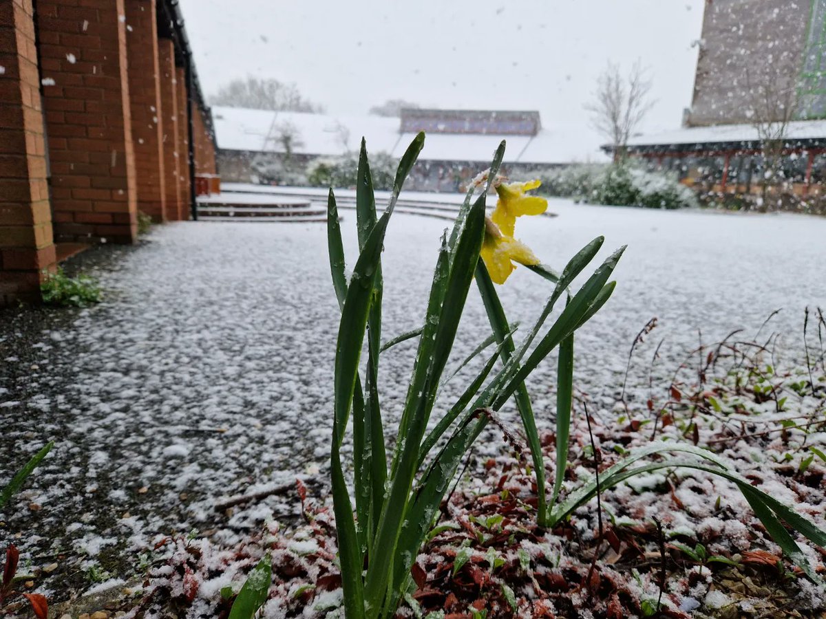 CollinstownPark's tweet photo. Spring has sprung #WeAreCPCC #Spring #FirstOfMarch #Snow #Sneachta #FirstOfMarch https://t.co/yfijxdk1UD