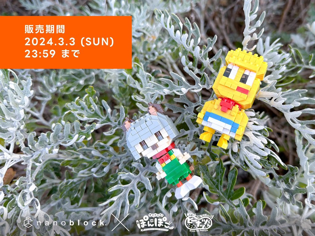 X-এ 甲賀流忍者ぽんぽこ🍃たぬき!: X-এ 甲賀流忍者ぽんぽこ🍃たぬき!: